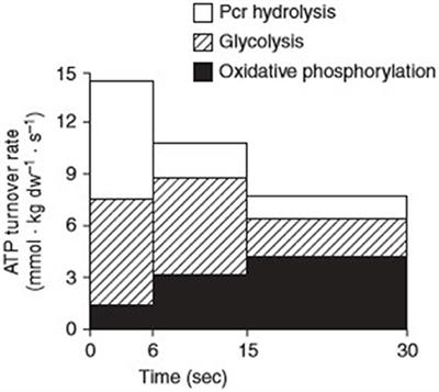 Resistance Isn't Futile: The Physiological Basis of the Health Effects of Resistance Exercise in Individuals With Type 1 Diabetes